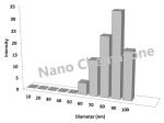 Neodymium Iron Boron Nanoparticles and Nanopowder
