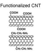 Functionalized Short SWCNT-Single Walled Carbon Nanotubes