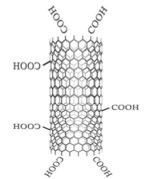 Functionalized Multiwalled Carbon Nanotubes