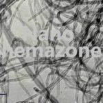 Functionalized SWCNT Single Walled Carbon Nanotubes