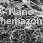 Multiwalled Carbon Nanotubes