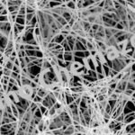 Carbon Nanofibers (CNFs) Powder