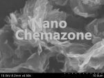 single layer Reduced Graphene Oxide Powder