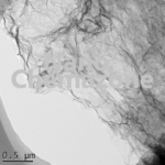 Pristine Graphene dispersion and paste