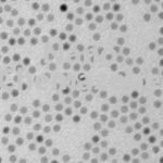 Iron Oxide Nanoparticles