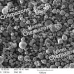 Magnesium Powder SEM image