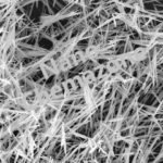 Lead Titanate Nanowire for various applications