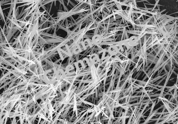 Lead Titanate Nanowires Lead Titanate Nanowire for various applications