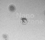 Gold Iron Oxide Core Shell Nanoparticles