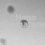 Gold Iron Oxide Core Shell Nanoparticles