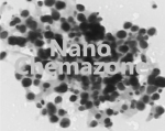 Zinc nanoparticles Dispersion