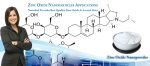 ZnO Nanopowder