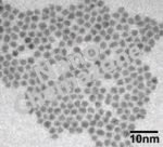 Cadmium Telluride CdTe Quantum Dots