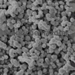 Stainless Steel Alloy Nanoparticles Nanopowder