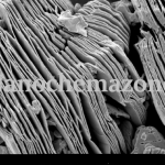 Nb4AlC3 MAXene Powder